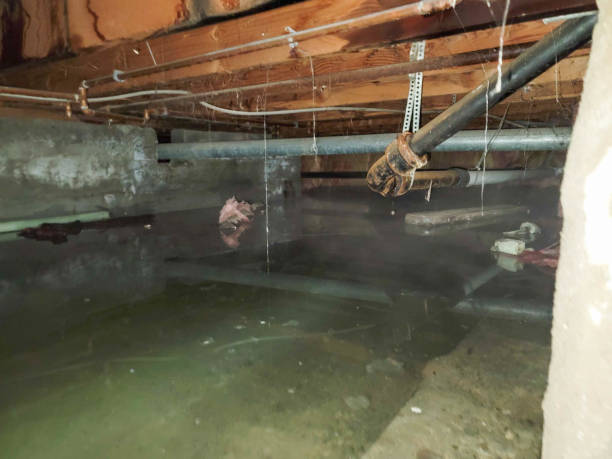 Sewage cleanup and water damage restoration in Cottonport, LA