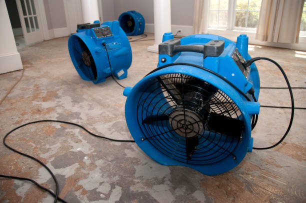 Best Water damage restoration near me  in Cottonport, LA