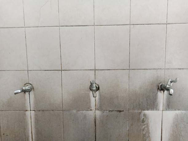 Carpet water damage restoration in Cottonport, LA